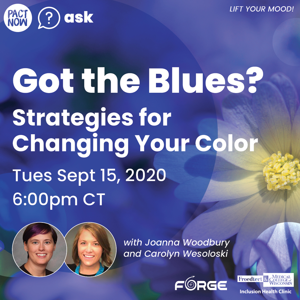 PACT NOW - Got the Blues? Strategies for Changing Your Color square