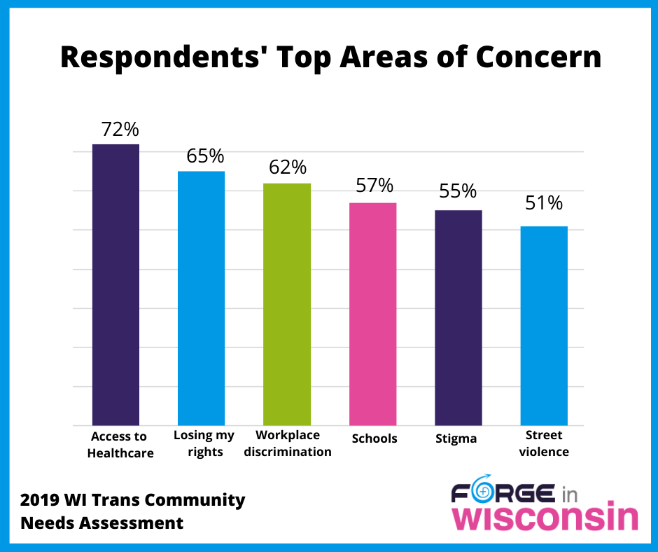 WI Needs Assessment: Top Areas of Concern
