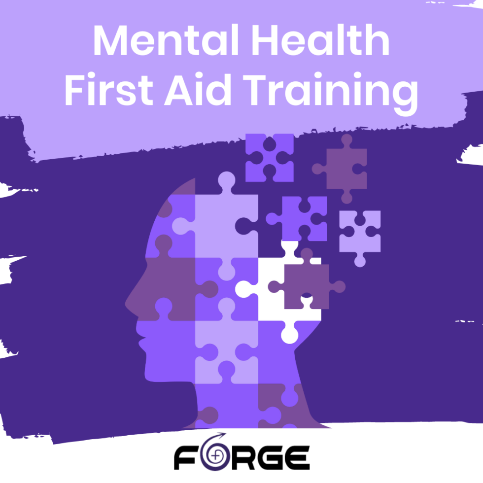 mental-health-first-aid-training-forge-wisconsin