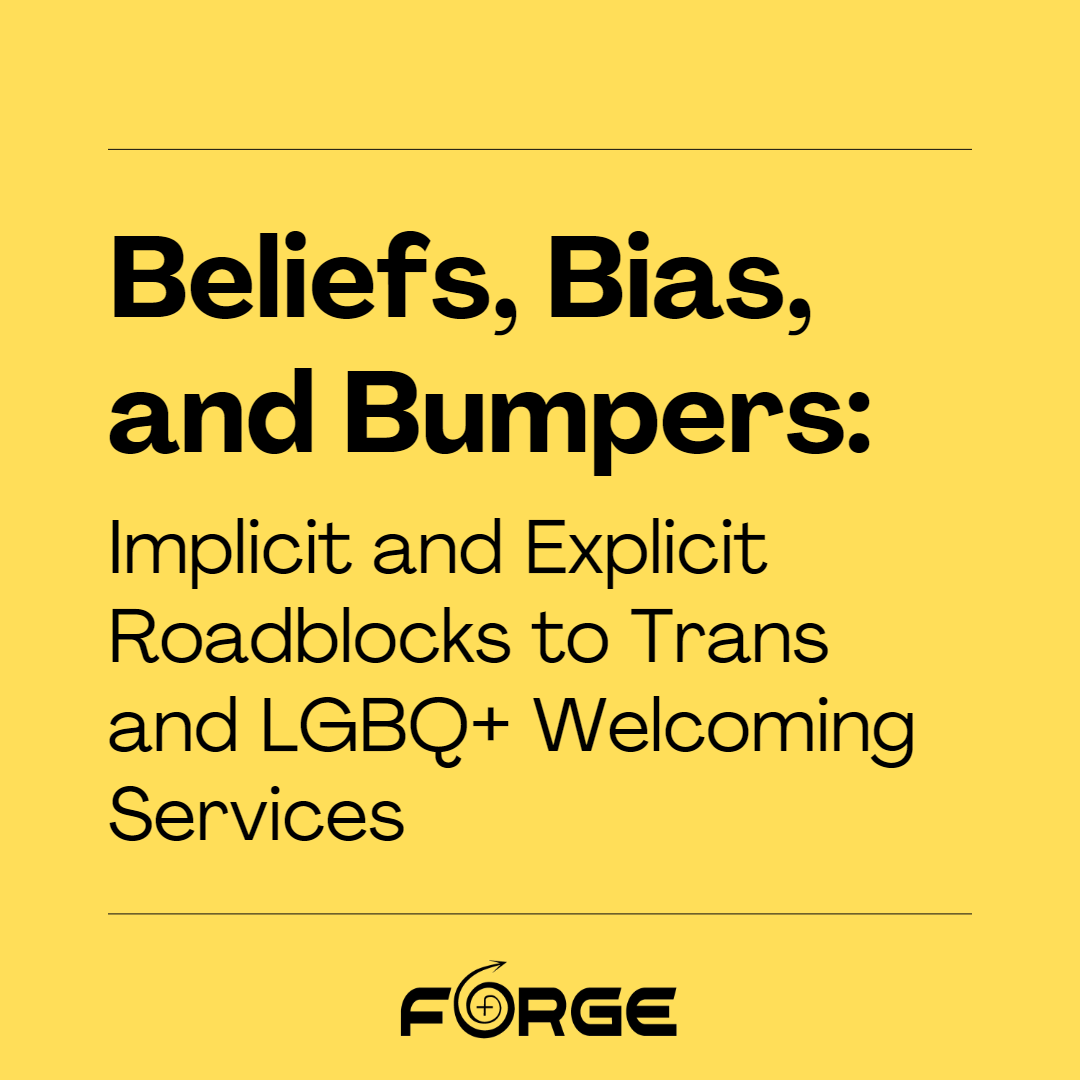 Beliefs bias and bumpers implicit and explicit roadblocks to trans